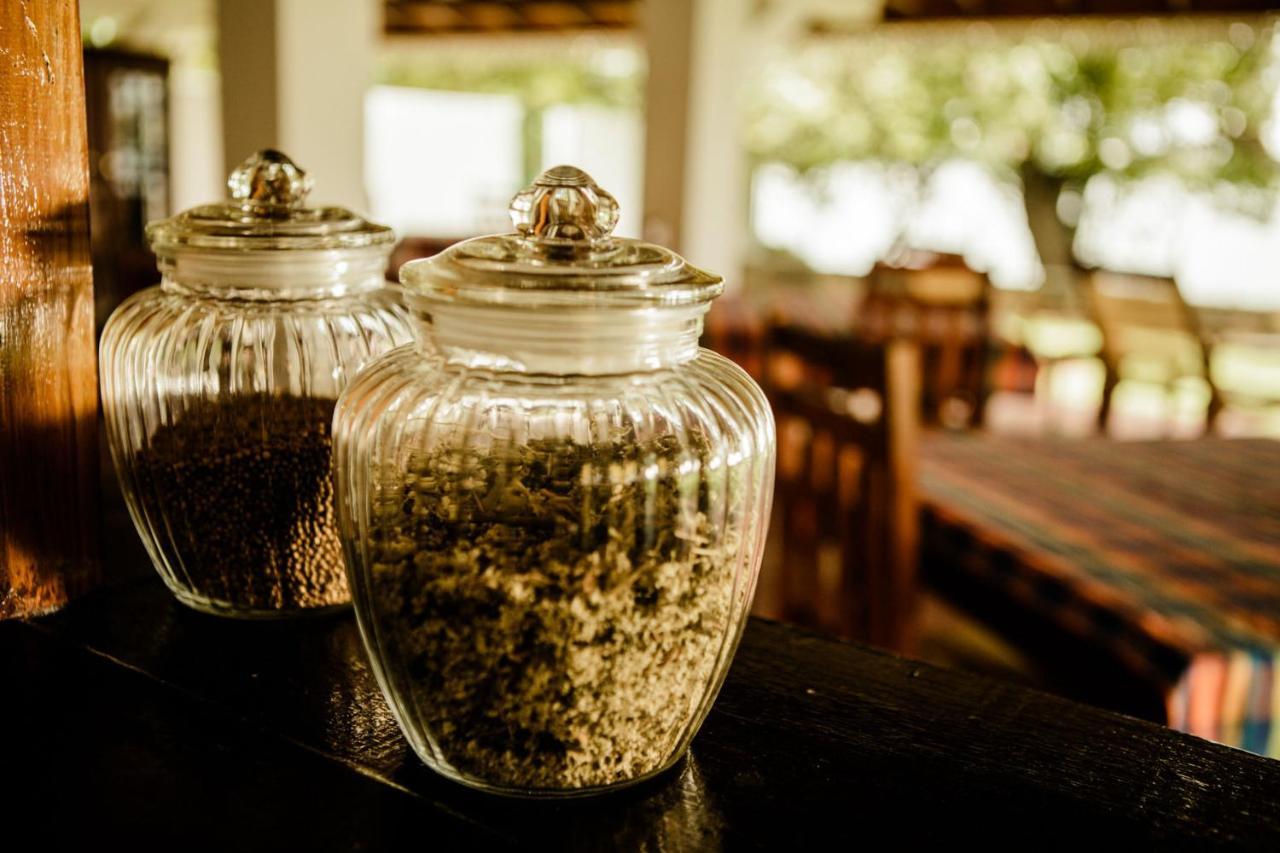 Thaulle Ayurveda Resort - Yala Tissamaharama Ngoại thất bức ảnh