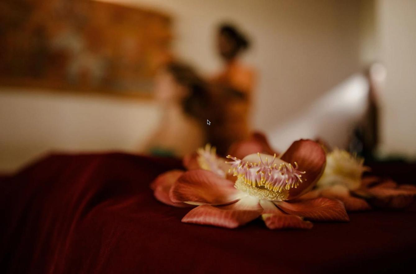 Thaulle Ayurveda Resort - Yala Tissamaharama Ngoại thất bức ảnh