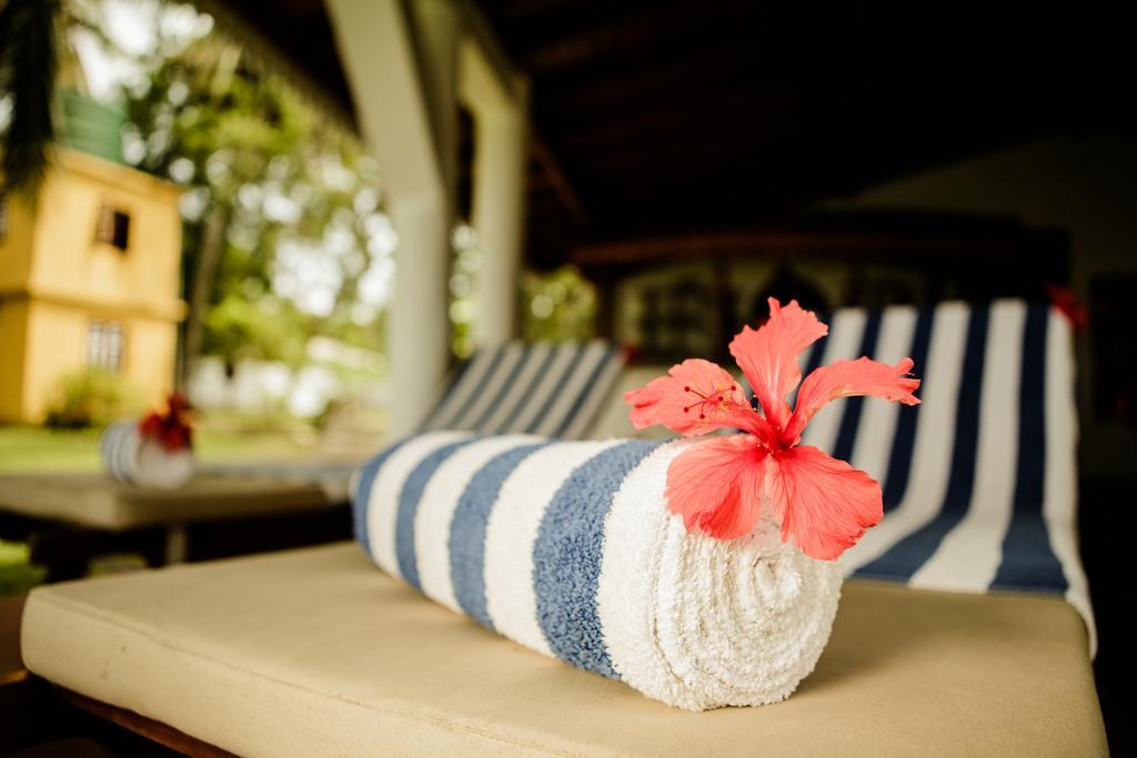 Thaulle Ayurveda Resort - Yala Tissamaharama Ngoại thất bức ảnh